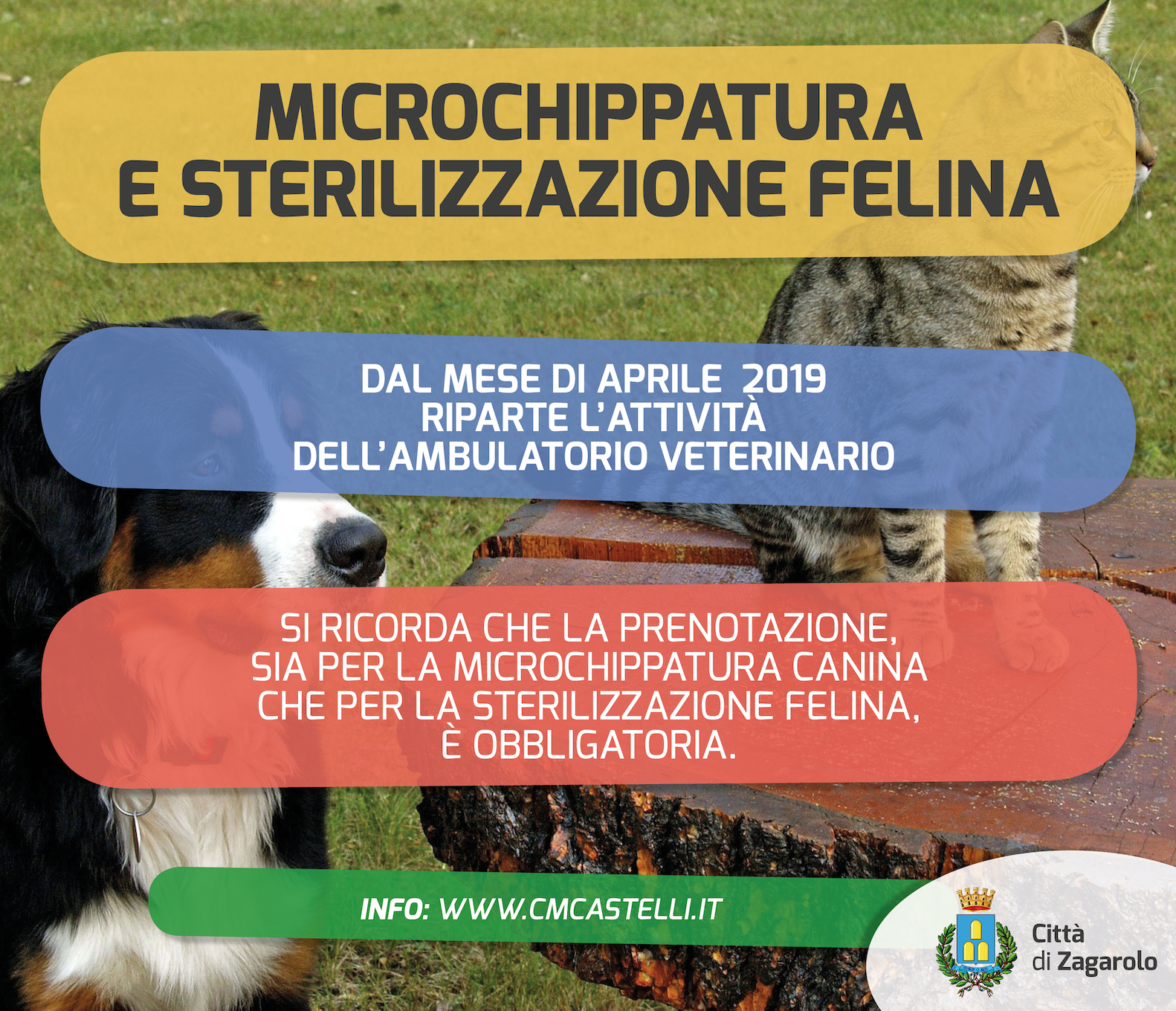 Microchippatura canina e sterilizzazione felina